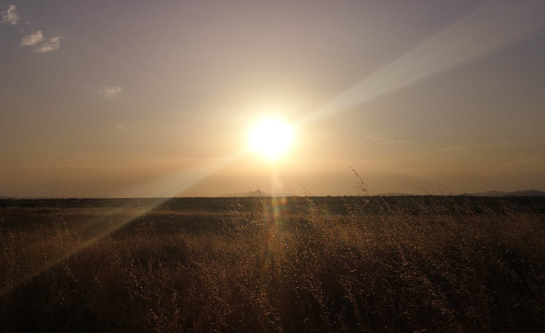 Caminos del Guadiana-Daimiel必去景点