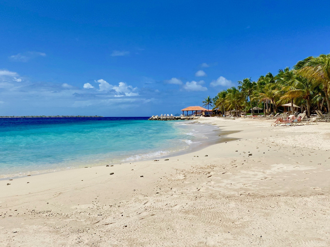 Harbour Village Beach Club主图