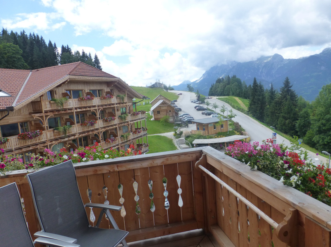 Natur und Wellnesshotel Hoeflehner主图