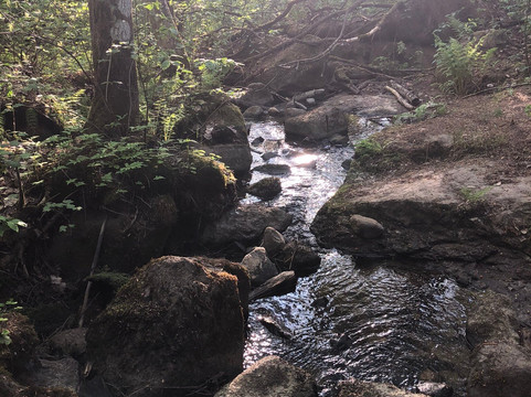 Pasolanvuori Nature Trail-Asikkala必去景点