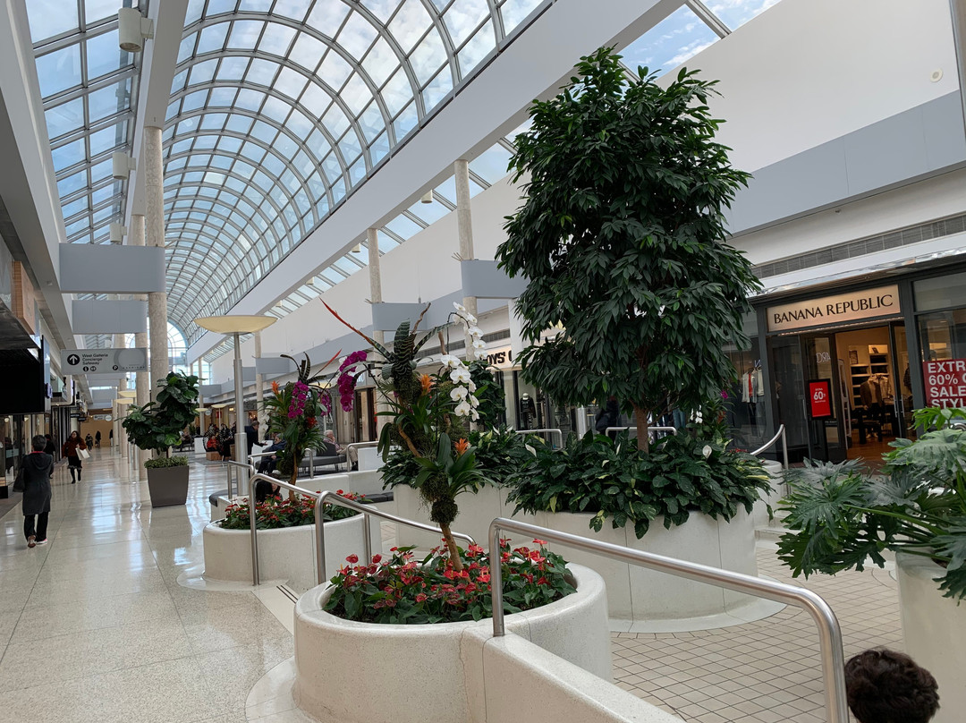 Oakridge Park-温哥华必去景点