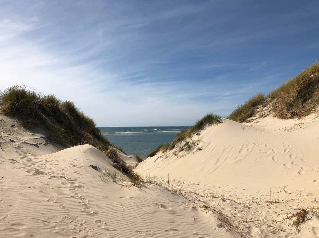 Groene Strand Beach-West-Terschelling必去景点