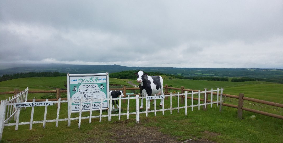 900草原展望台-弟子屈町必去景点