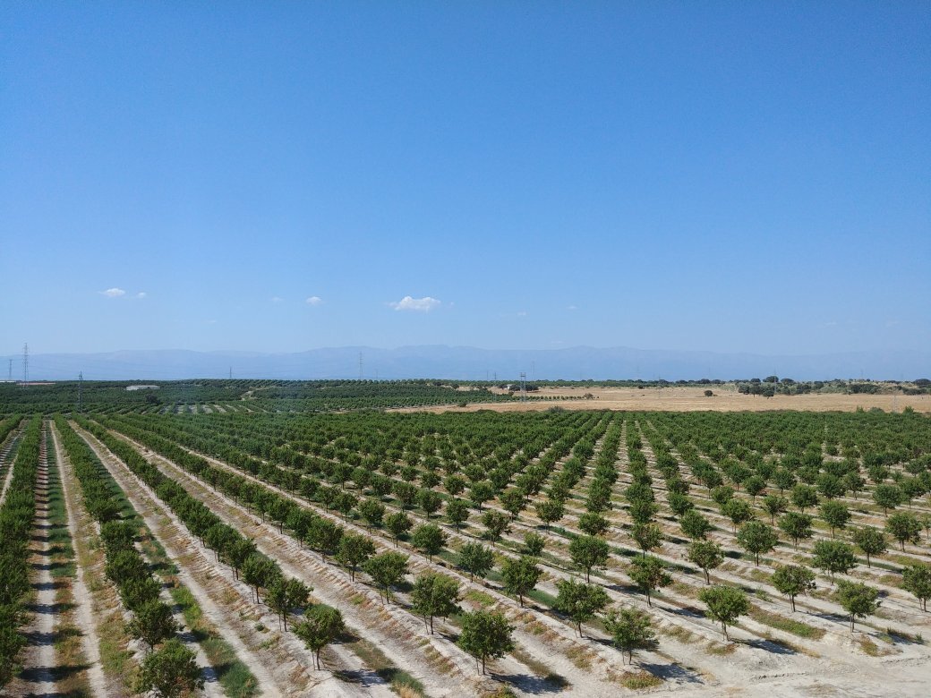 Hotel Alonso de Monroy-官方