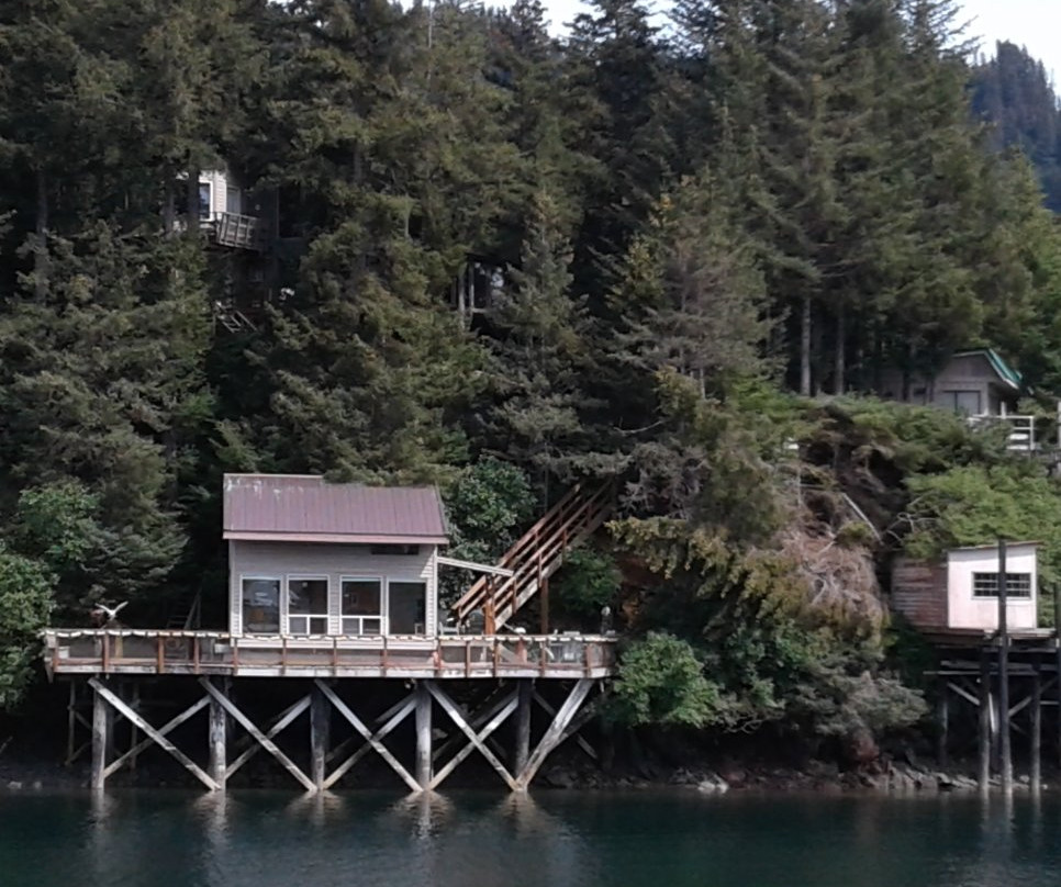 Seldovia Bed & Breakfast and Cabin Rental主图