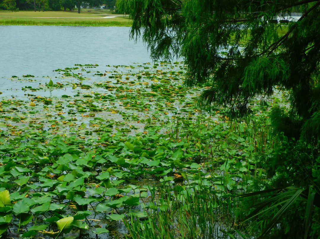 Bayhead Action Park-拉哥必去景点