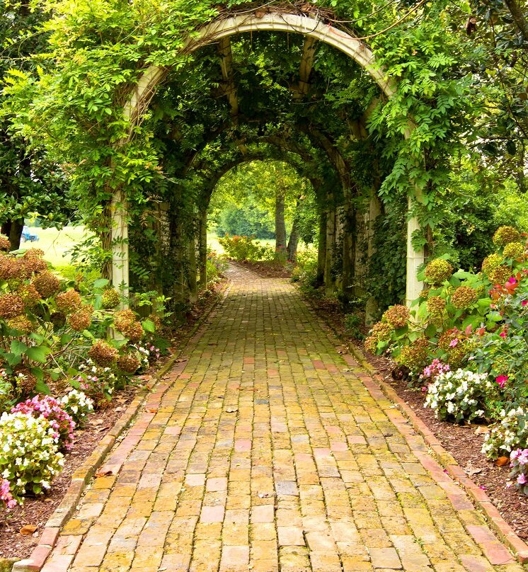 Cragfont State Historic Site - Historic Castalian Springs-Castalian Springs必去景点