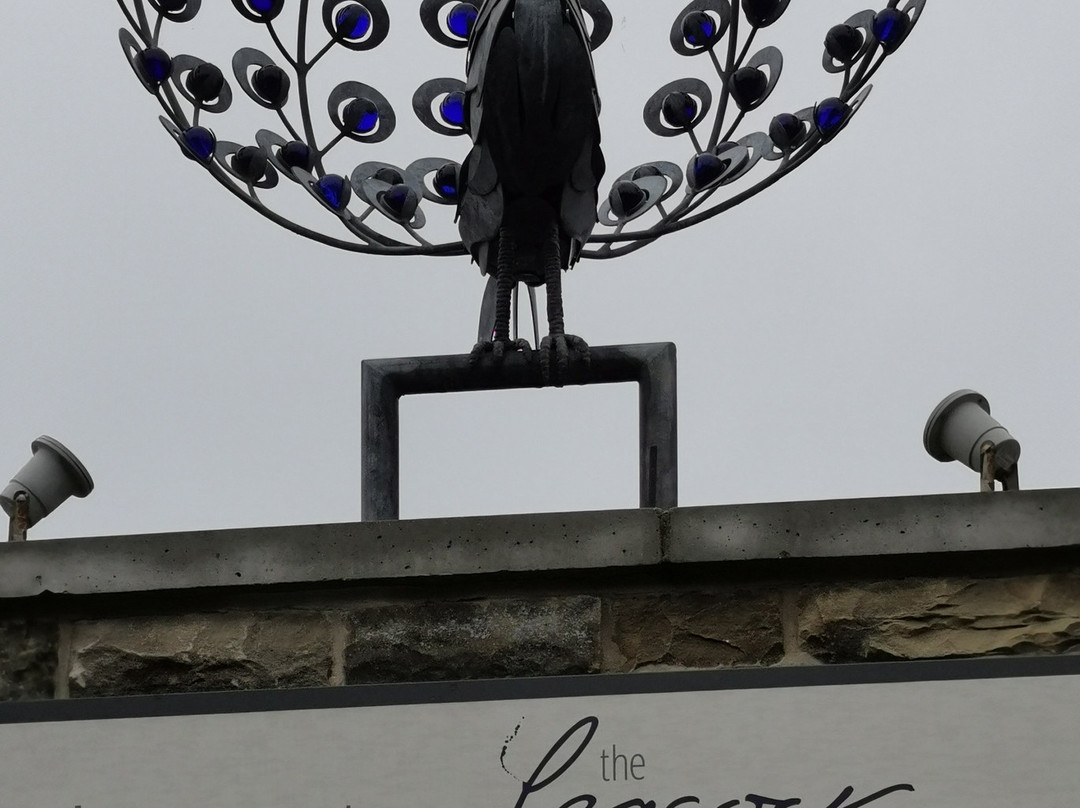 The Peacock at Barlow主图