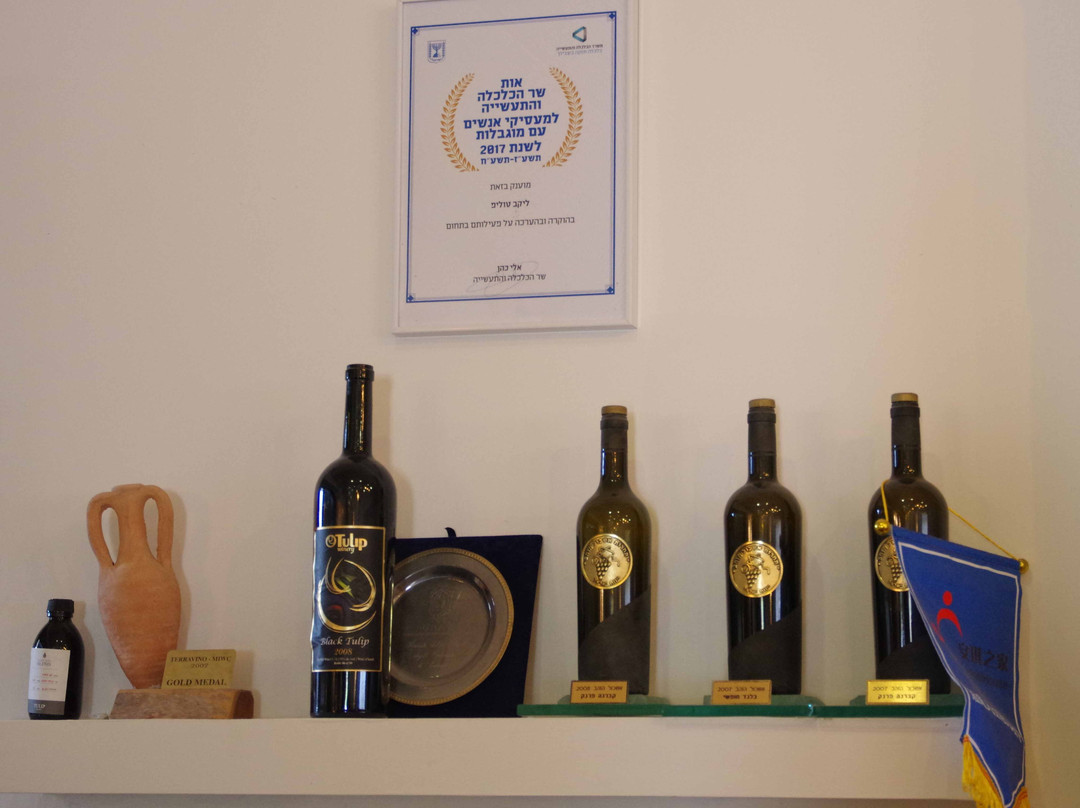 Tulip Winery-Kiryat Tivon必去景点