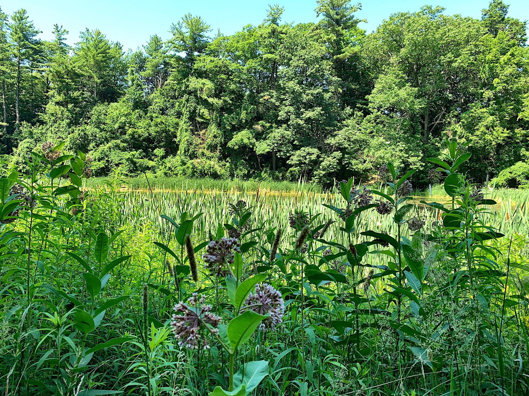 Highland Pond-格林菲尔德必去景点