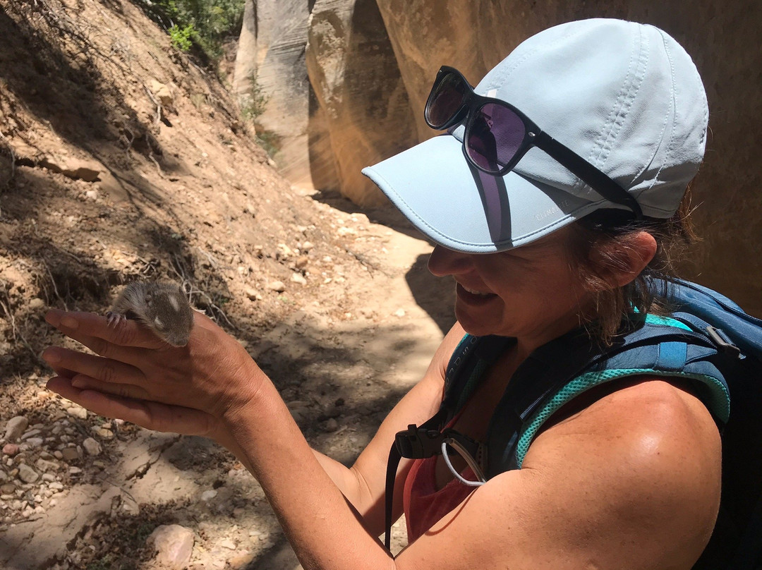 Lick Wash Slot Canyon-卡纳布必去景点
