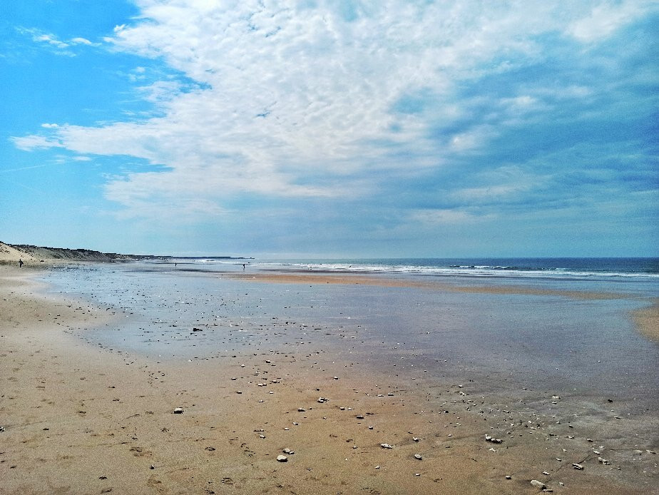 Plage du Rocher景点图片