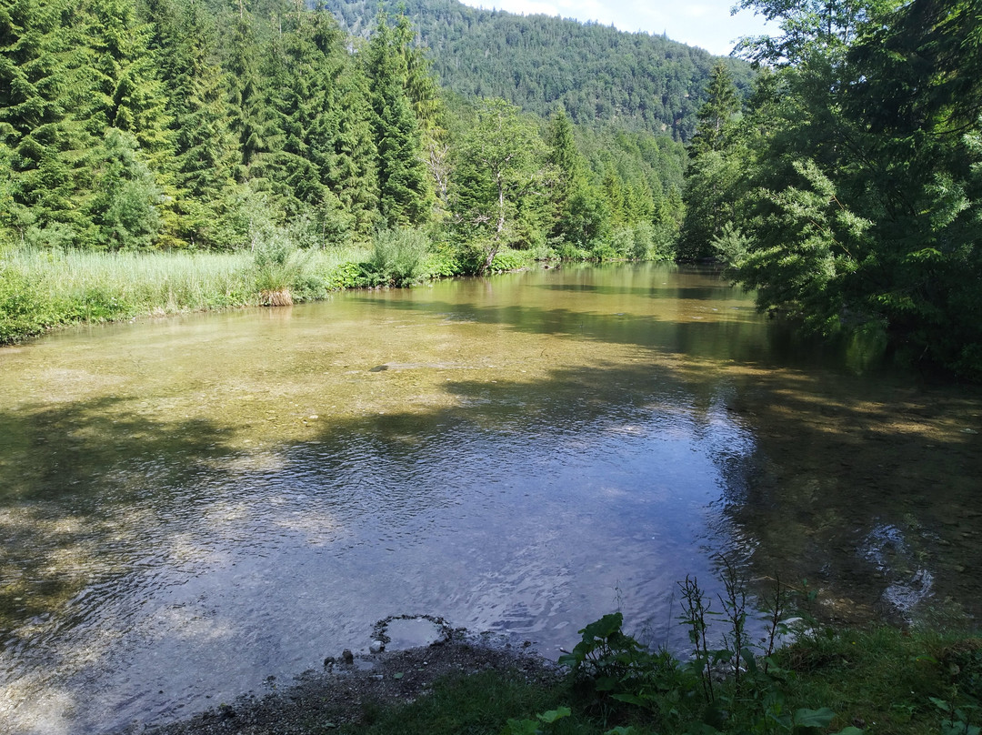 Cumberland Wildpark Grünau景点图片