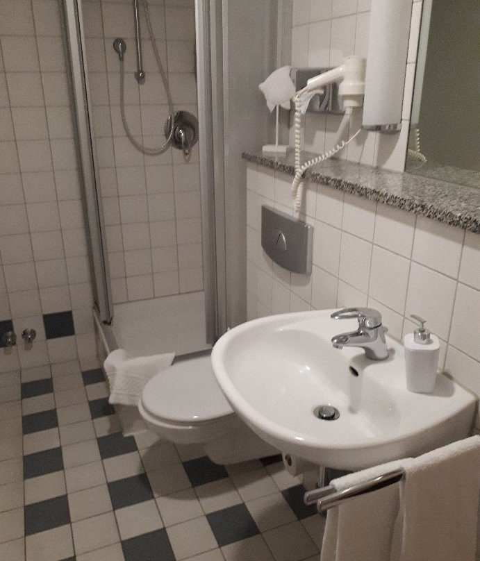 Landhotel Zum Schwanen主图