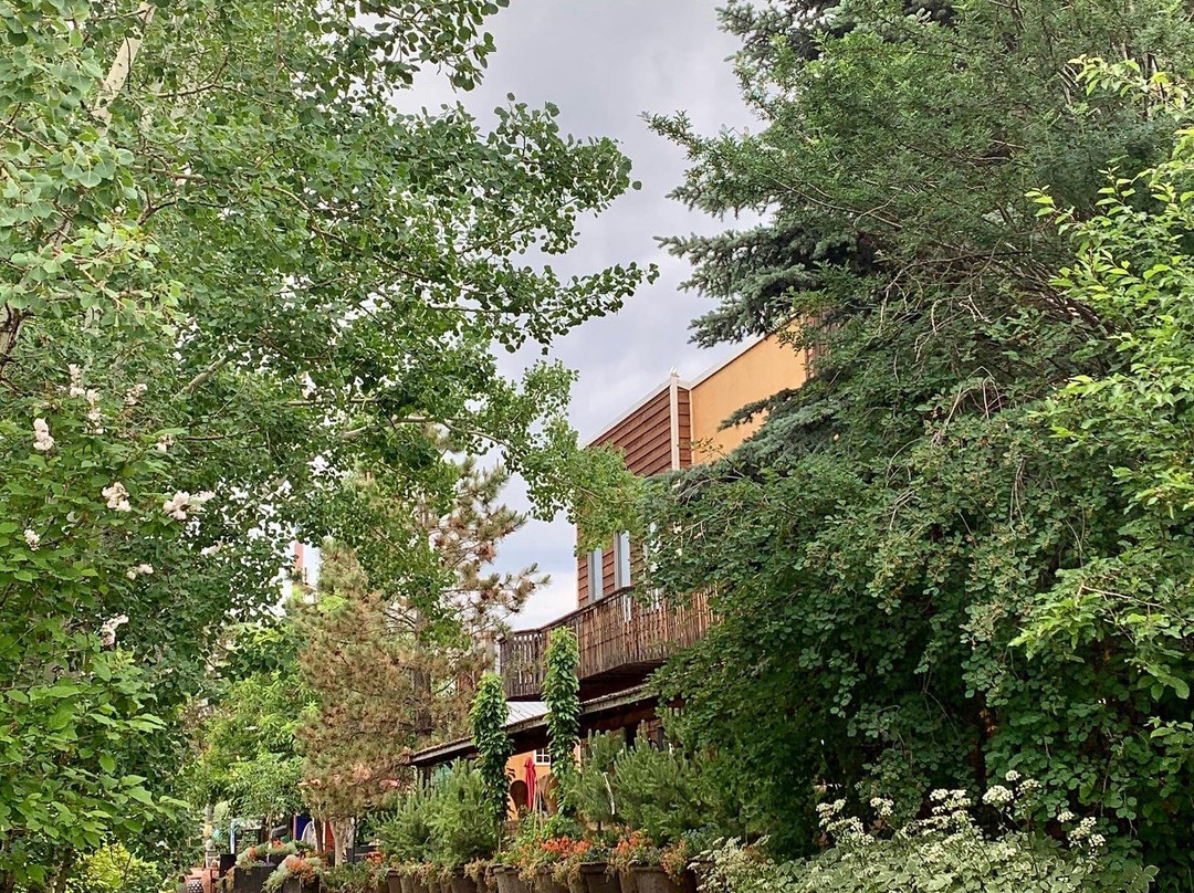 The Saskatoon Berry Farm-De Winton必去景点