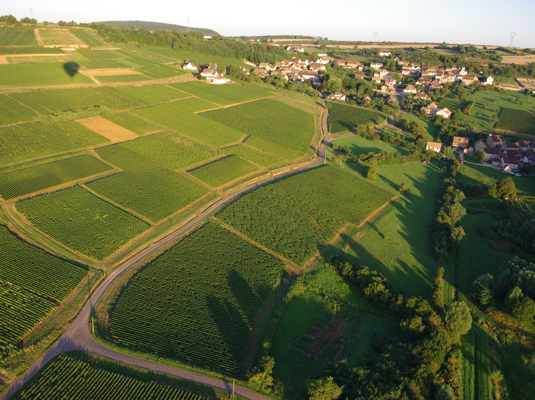 Bourgogne-Montgolfière景点图片