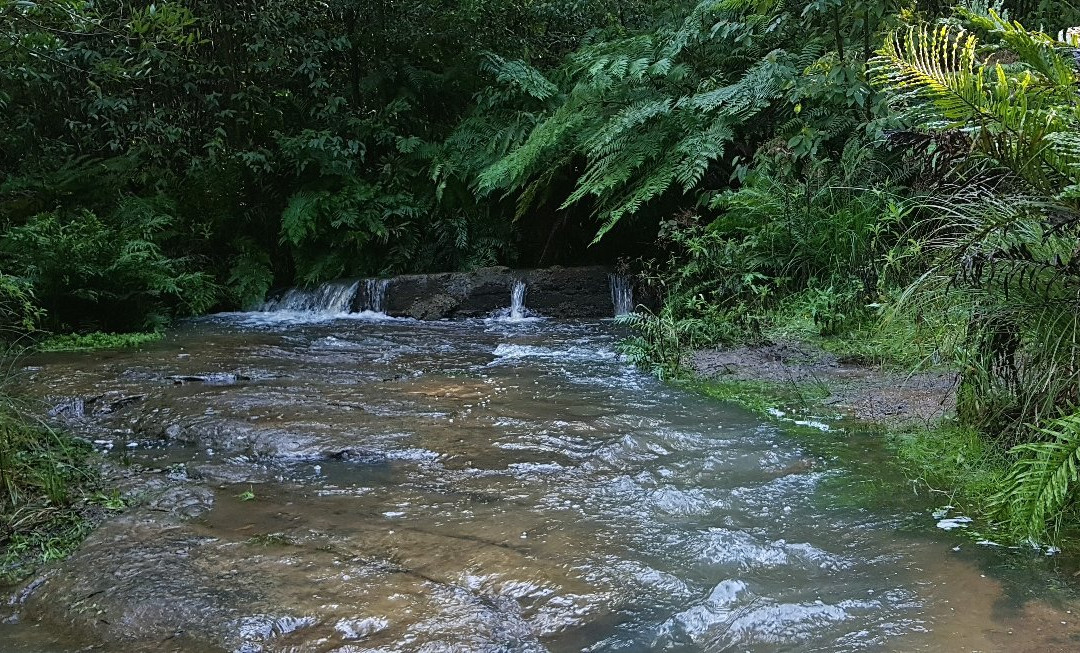 Mason Falls Picnic Ground-Kinglake必去景点
