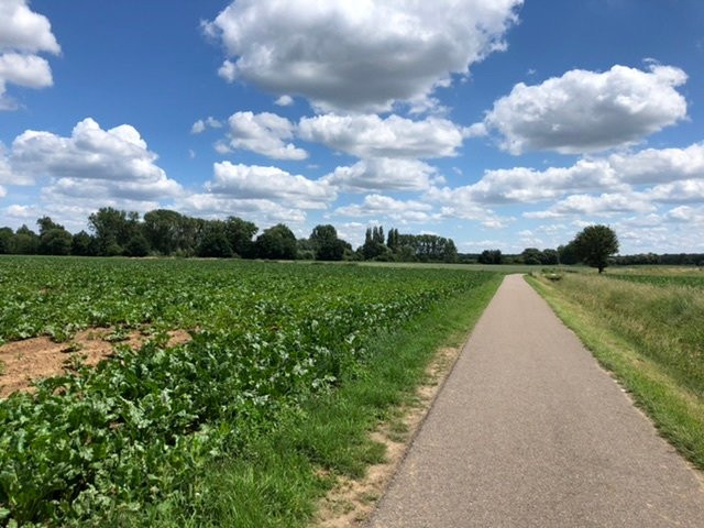 Solextochten Roermond-鲁尔蒙德必去景点