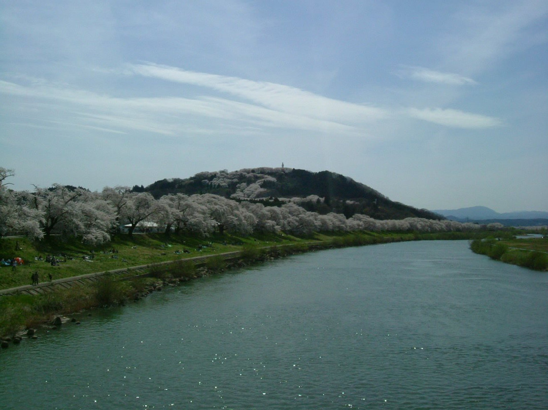 Shiroishigawa Embankment Hitome Sembonzakura-大河原町必去景点