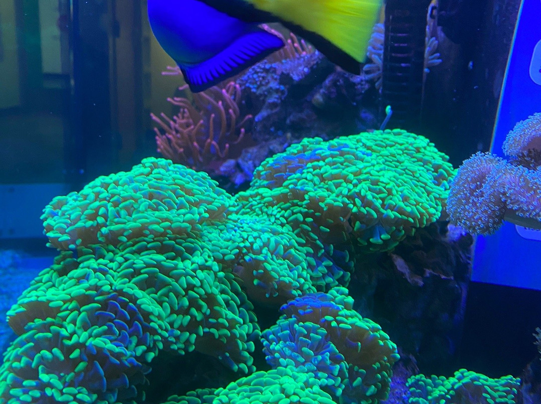 Butterfly Pavilion-威斯敏斯特必去景点