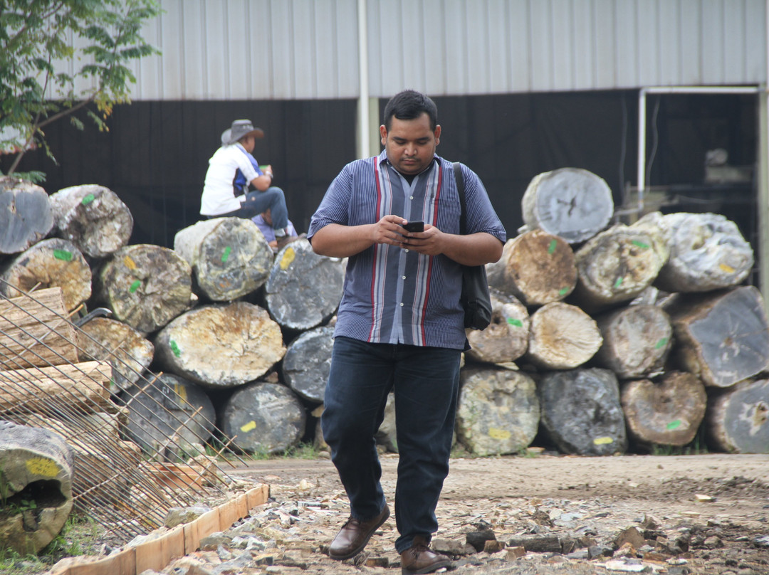 Petrified Wood Indonesia-茂物必去景点