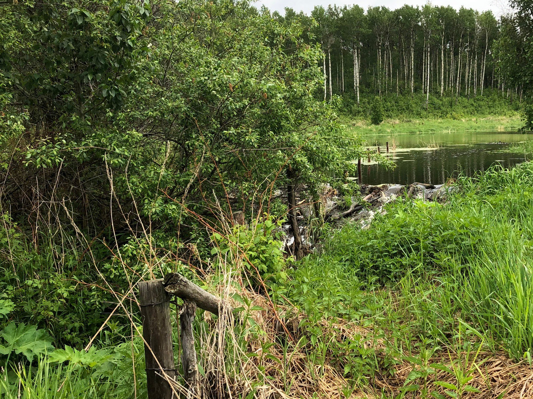 Chicakoo Lake Recreation Area景点图片