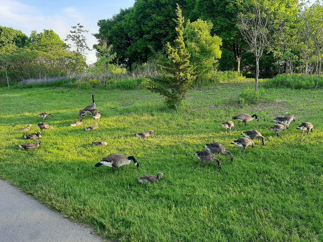 Bayfront Park-汉密尔顿必去景点