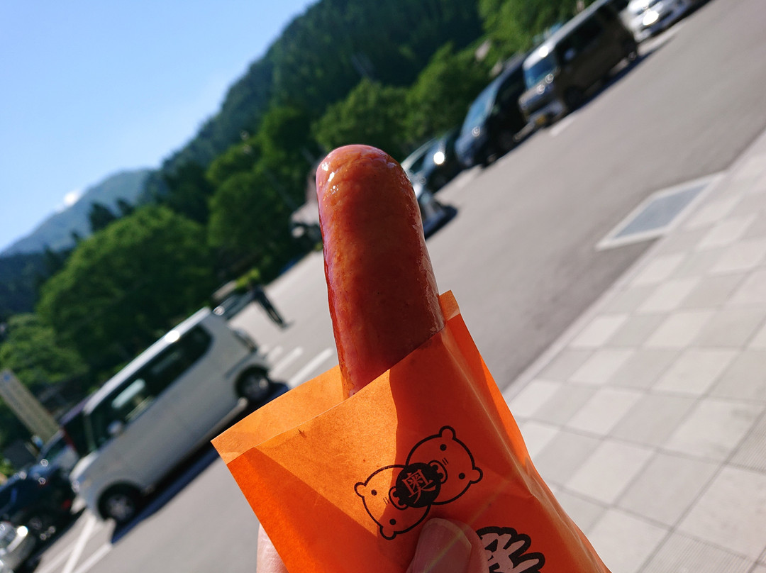 Seiryu Nagara River Ayu Park-郡上市必去景点