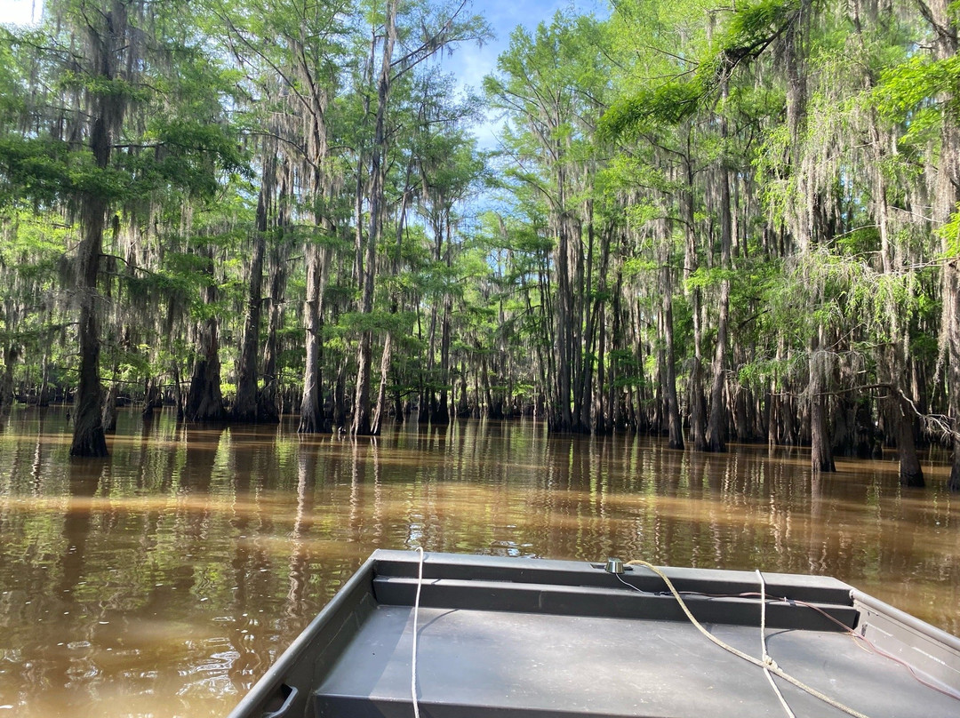 Caddo Outback-Karnack必去景点