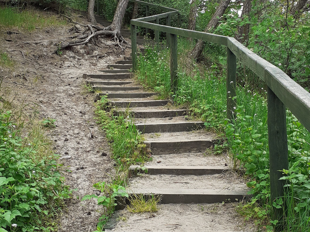 Wielbładzi Grzbiet-Krynica Morska必去景点