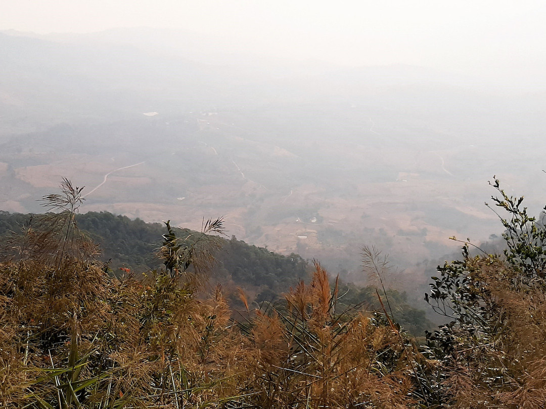 Phu Ruea National Park景点图片
