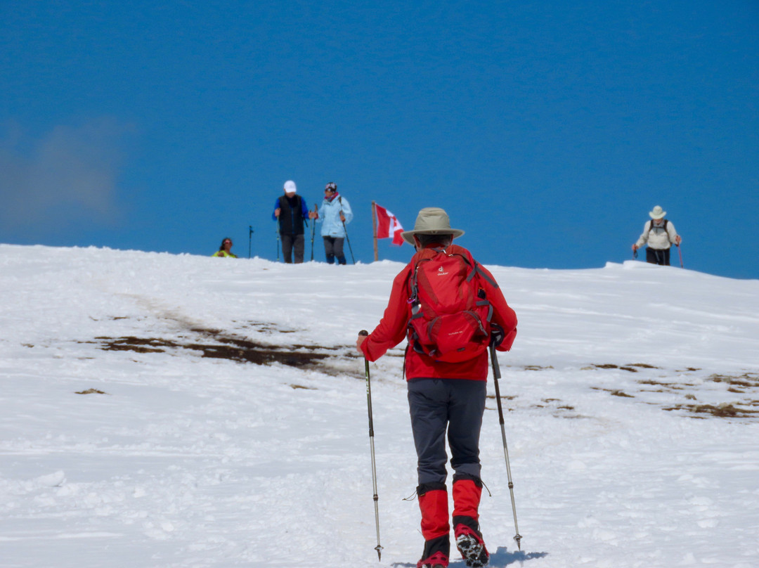 Prairie Mountain Hike景点图片