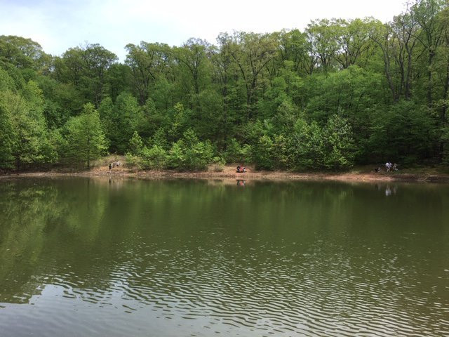 Boyd Big Tree Preserve Conservation Area-哈里斯堡必去景点