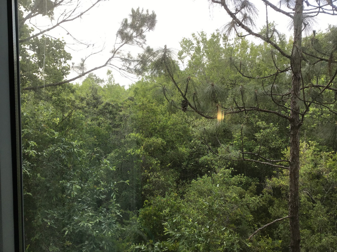 Fairfield Inn & Suites by Marriott Crestview主图