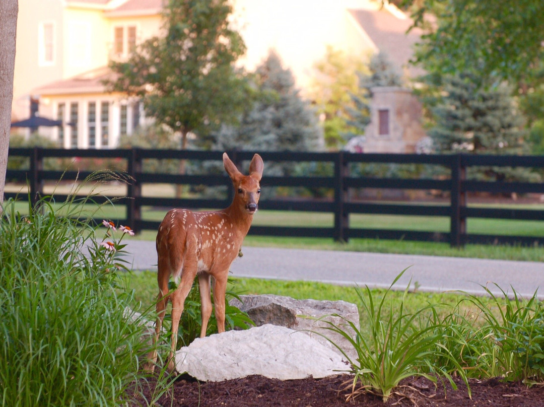 Emily Traphagen Park-Powell必去景点
