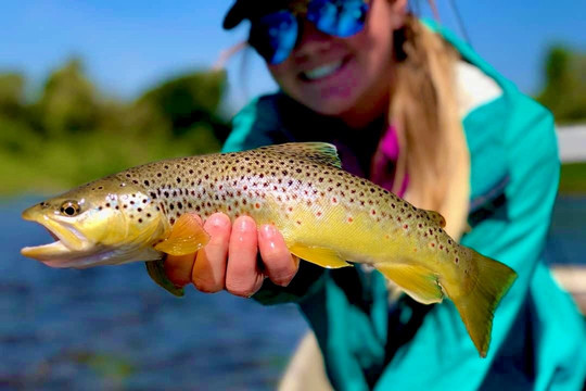 Five Star Expeditions-赫勒拿必去景点