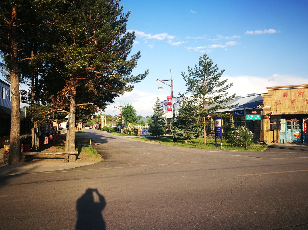 Private Tour Guide-漠河县必去景点