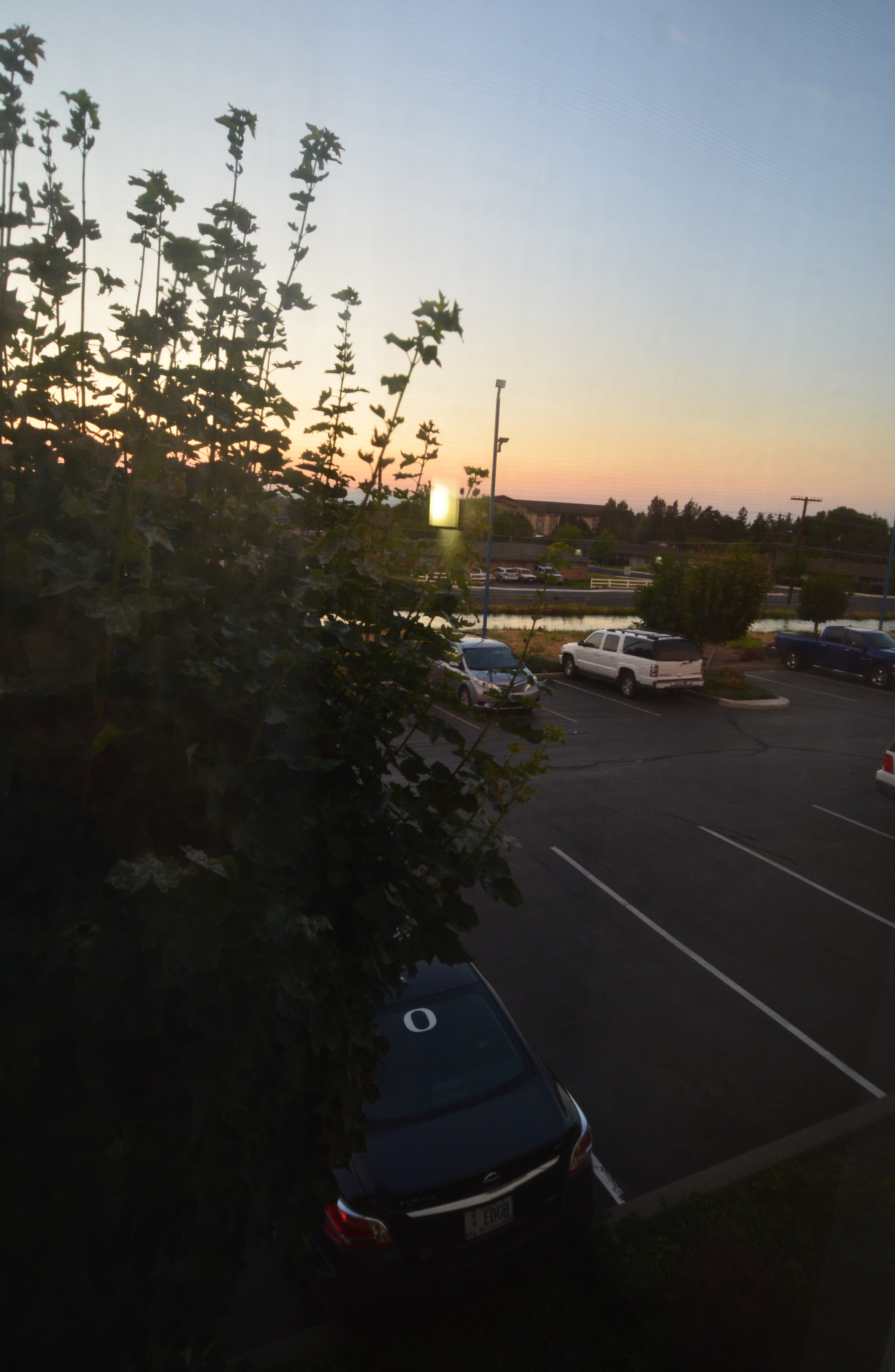 Motel 6 Redmond-portrait