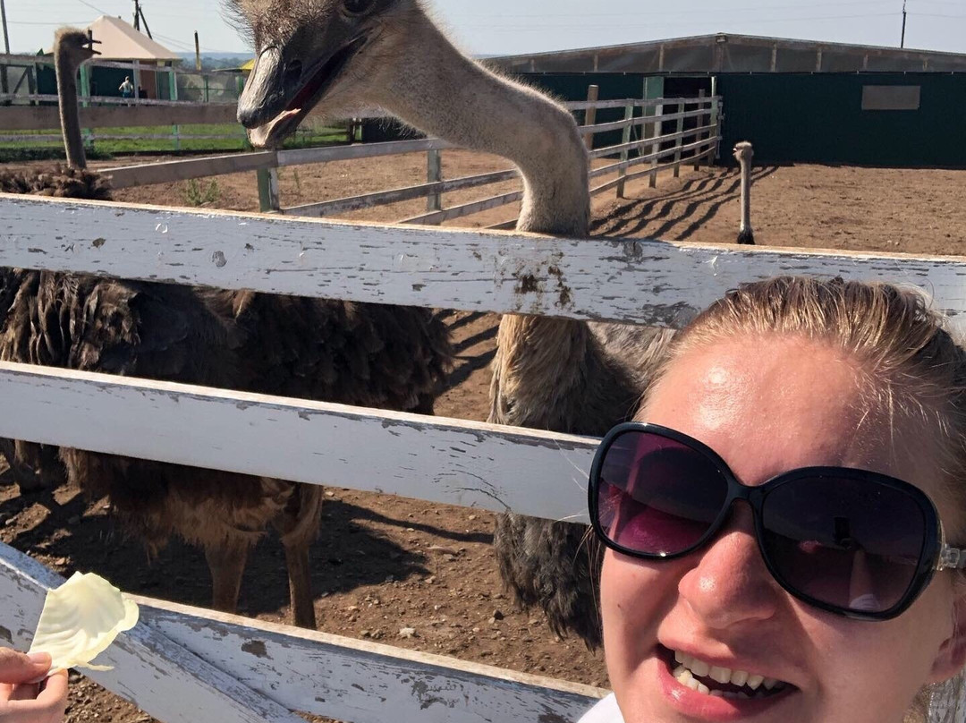 Ostrich Farm Velikolepny Straus-Inzelga必去景点