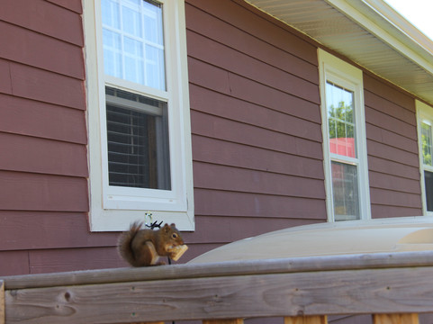 Avonlea Cottages主图