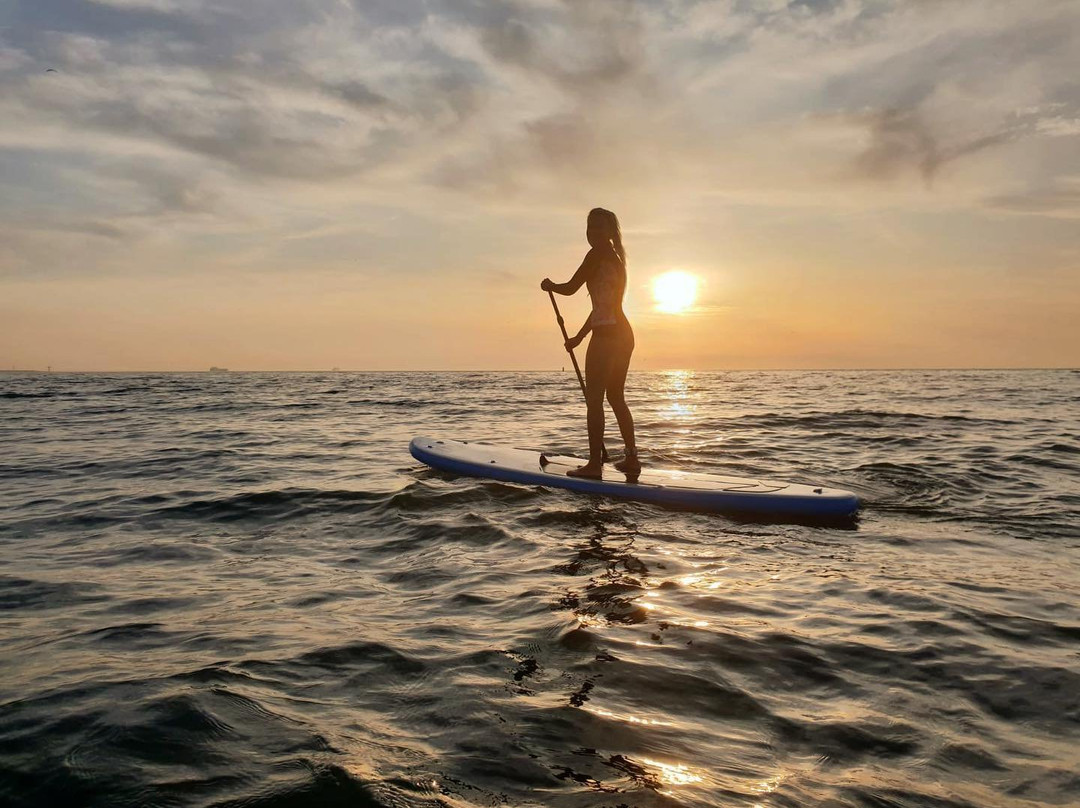 Dutch Surf Academy-'s-Gravenzande必去景点