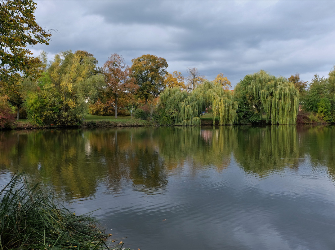 Ludgeriteich-Helmstedt必去景点