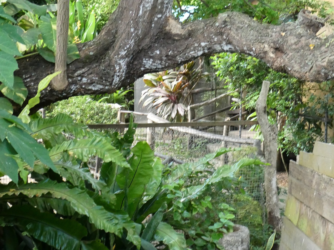 Cushing Zoo-杜梦湾必去景点