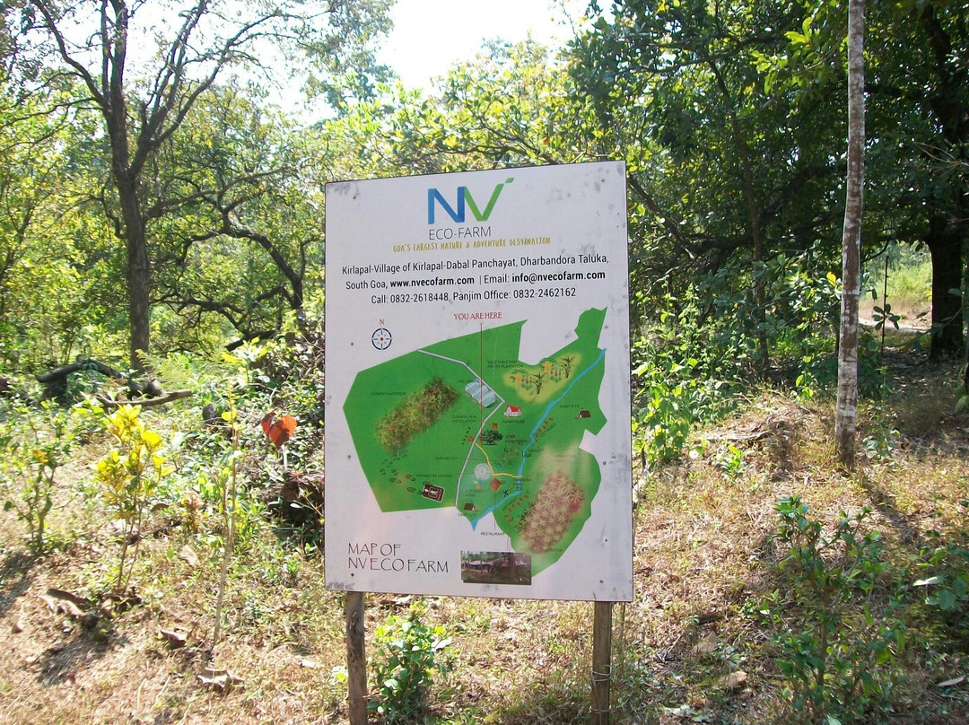 NV Eco-Farm景点图片
