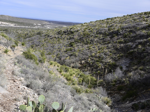 McKittrick Canyon Nature Trail-Guadalupe Mountains National Park必去景点