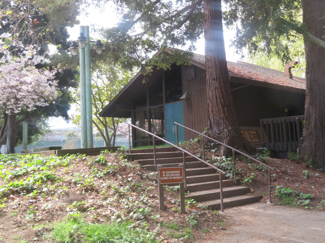 Cuesta Park-山景城必去景点