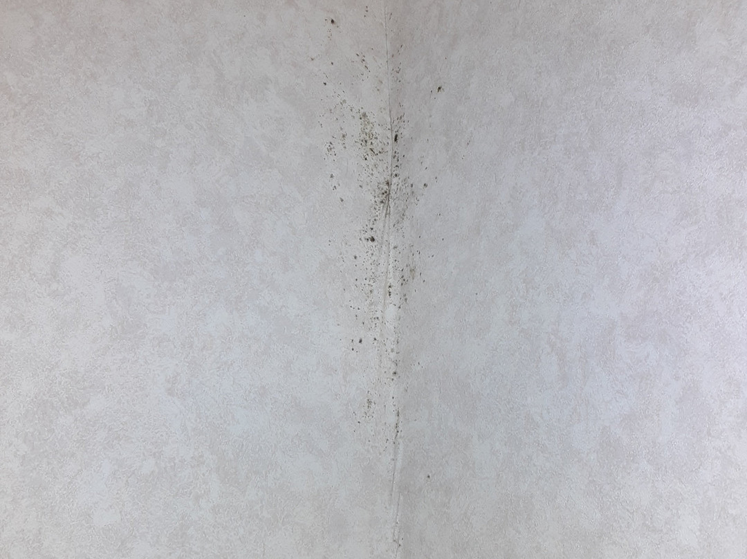 Quality Inn Moore - Oklahoma City主图