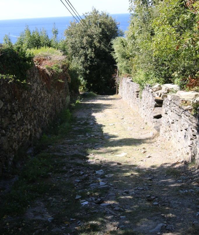 Pino旅游攻略图片