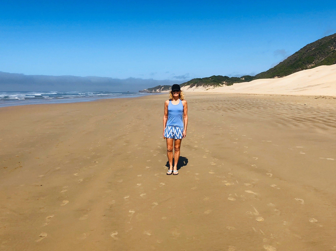 The House Quarters主图