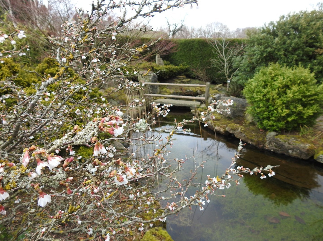Birkheads Secret Gardens-纽卡斯尔必去景点